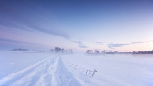 Image snow covered field under blue sky during daytime