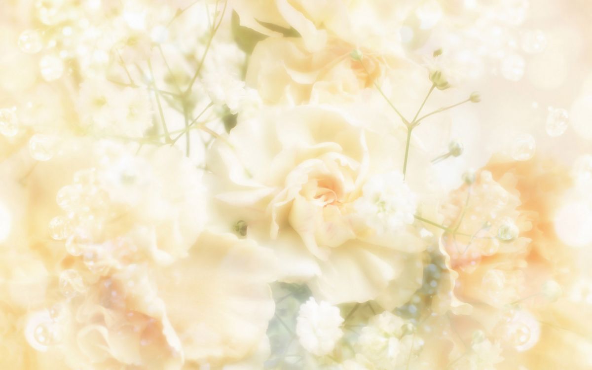 Fleur Blanche en Photographie Rapprochée. Wallpaper in 3200x2000 Resolution