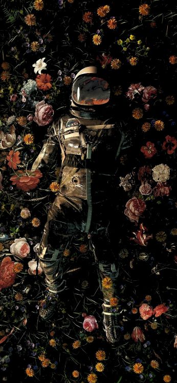 Nicebleed 花园美食, 花园, 海报, 艺术, 视觉艺术 壁纸 1440x3120 允许