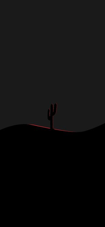 Cactus, Obscurité, Marron, Saguaro, Animation. Wallpaper in 2410x5218 Resolution
