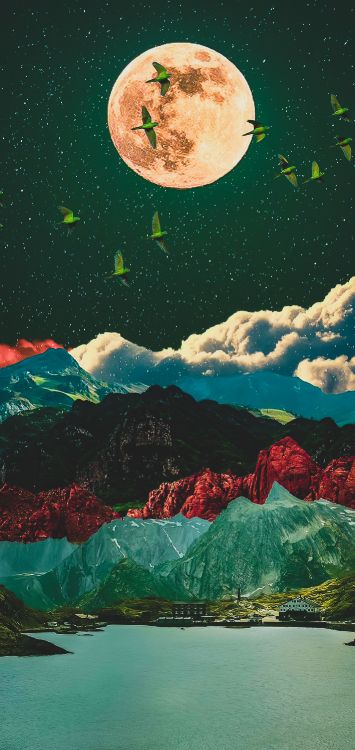 性质, 绿色的, 自然环境, 艺术, 自然景观 壁纸 1421x3000 允许