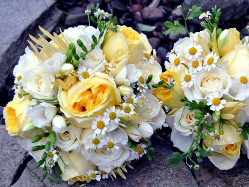 Image white and yellow roses bouquet