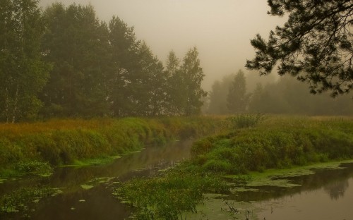 Image green grass field near river