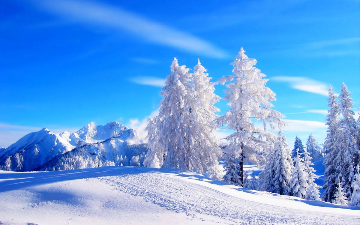 Snow Covered Trees and Mountains During Daytime. Wallpaper in 2880x1800 Resolution