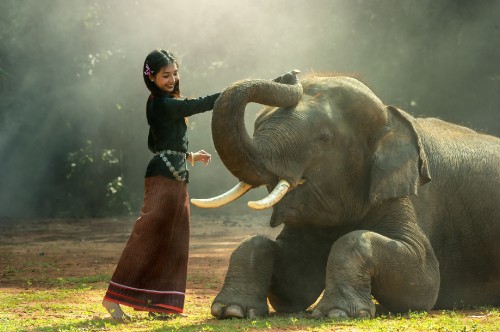 Image woman in black leather jacket standing beside elephant during daytime