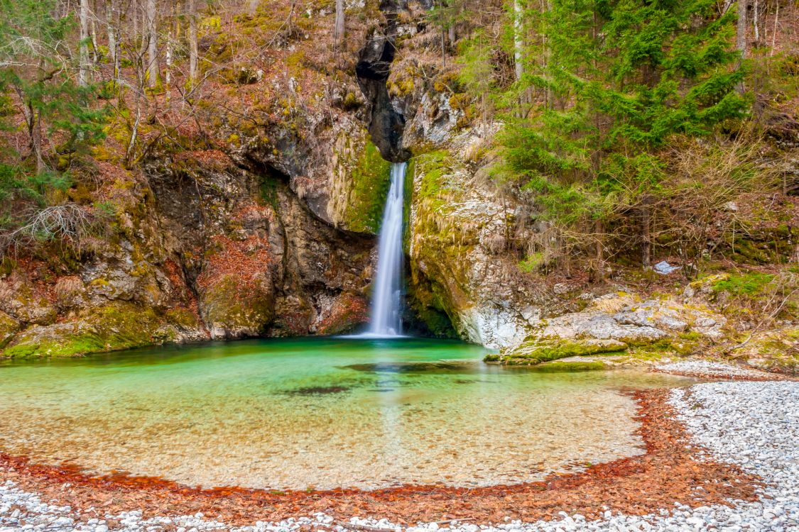 Cascadas en Medio Del Bosque Durante el Día. Wallpaper in 2700x1800 Resolution