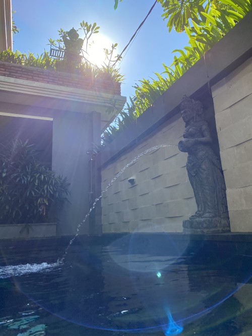 Image bali, reflection, Swimming pool, water, water resources