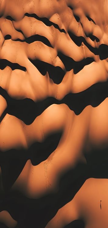 Close Up, Wissenschaft, Menschliche Biologie, Biologie, Menschliches Skelett. Wallpaper in 1421x3000 Resolution