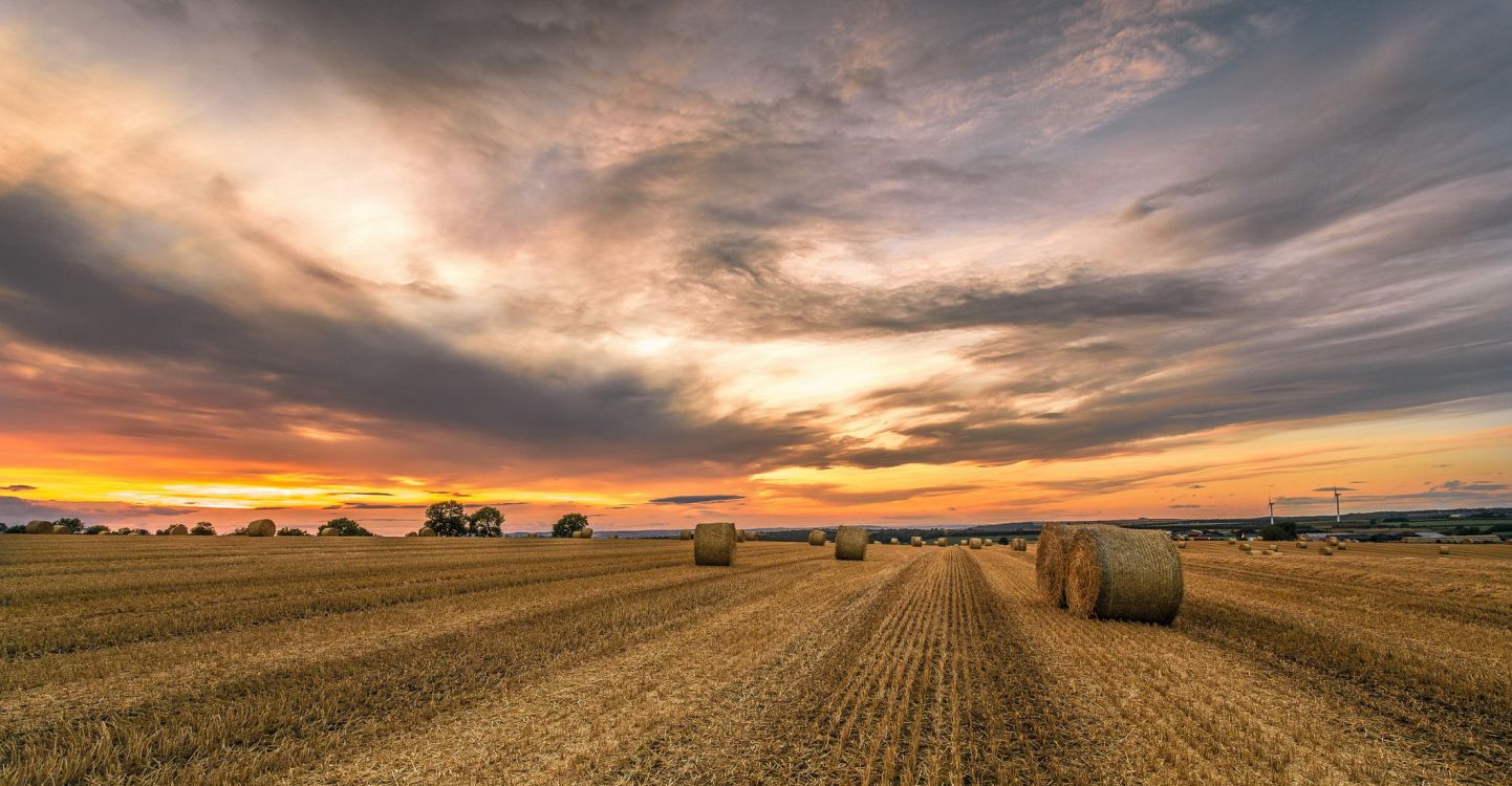 地平线, 早上, 普通的, 农村地区, 性质 壁纸 2115x1100 允许