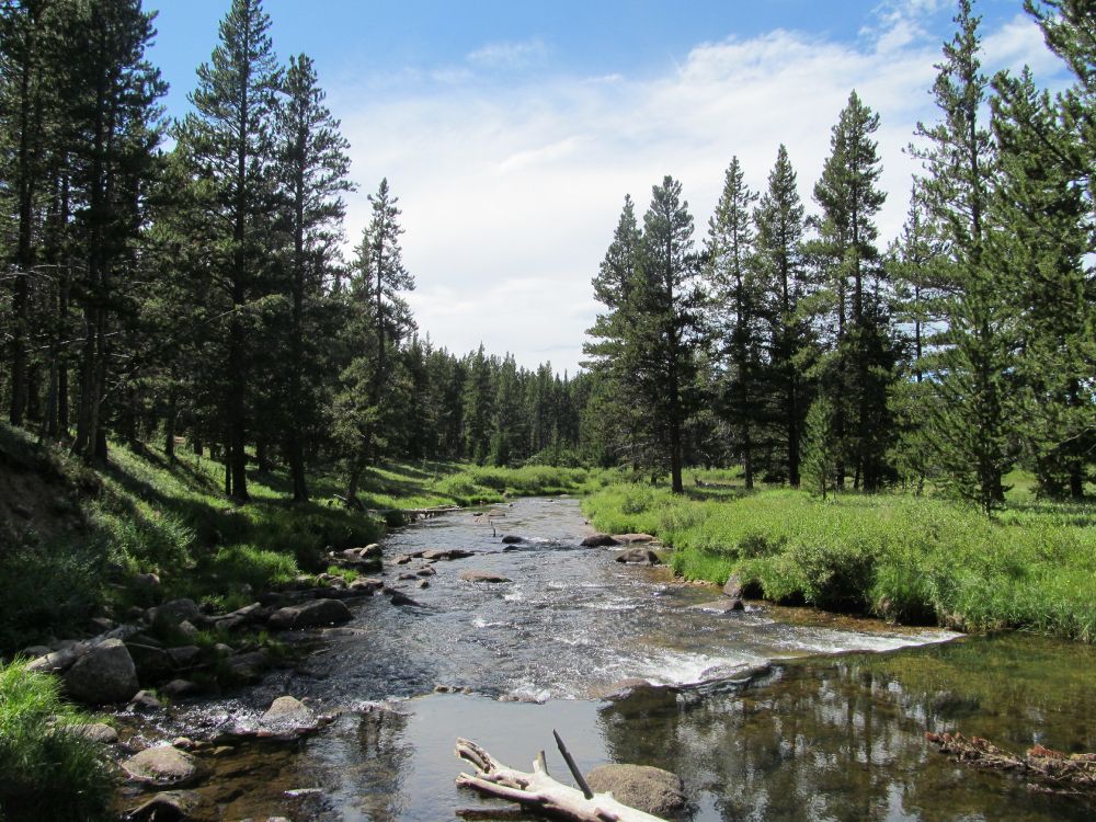 Grüne Bäume Neben Dem Fluss Unter Blauem Himmel Tagsüber. Wallpaper in 4320x3240 Resolution