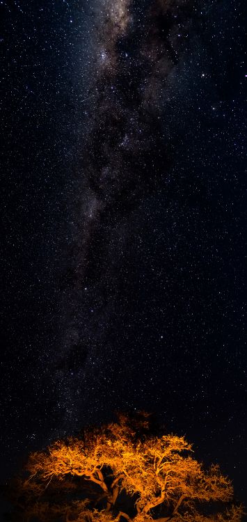 Stern, Milchstraße, Galaxy, Astronomie, Himmelsobjekt. Wallpaper in 1420x3000 Resolution