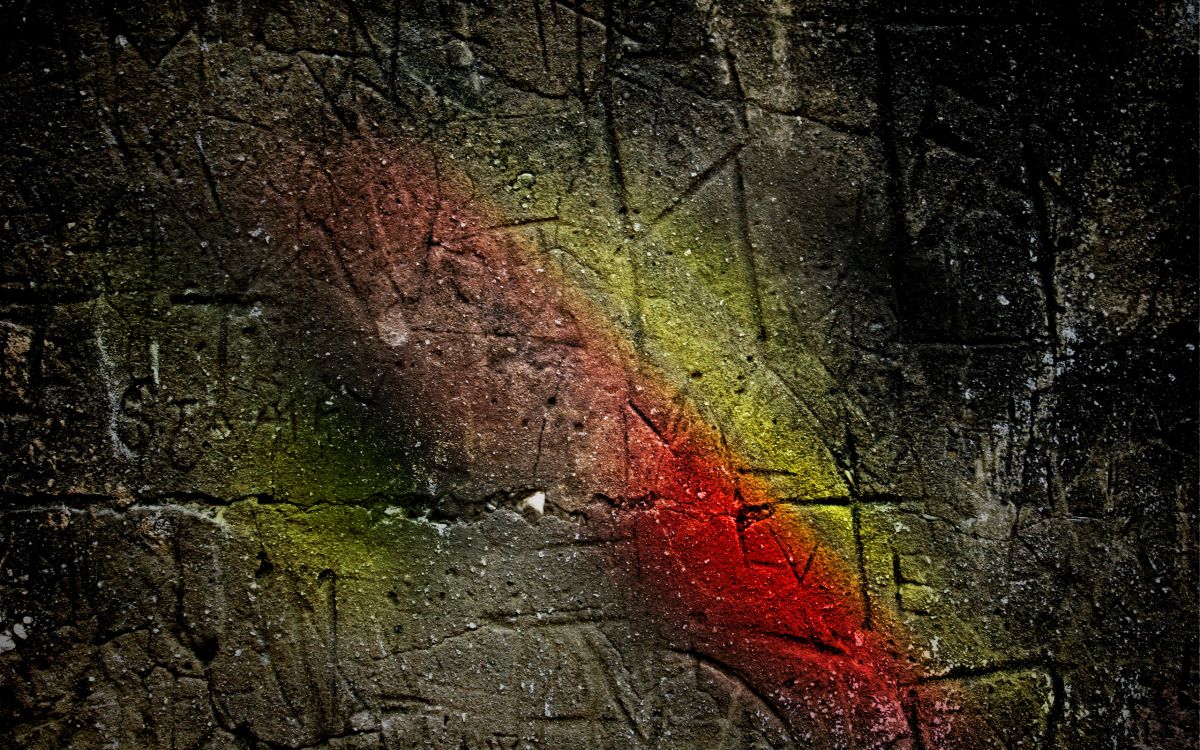 森林, 性质, 林地 壁纸 2560x1600 允许