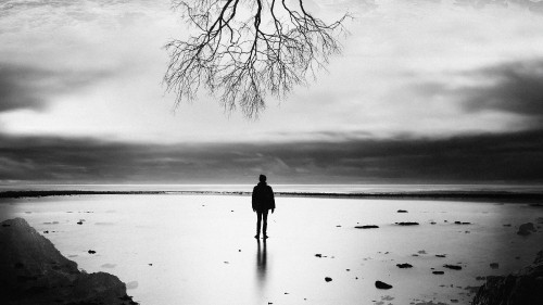 Image man in black jacket standing on snow covered ground near bare tree during daytime