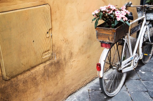 Image pink and white flowers on bicycle