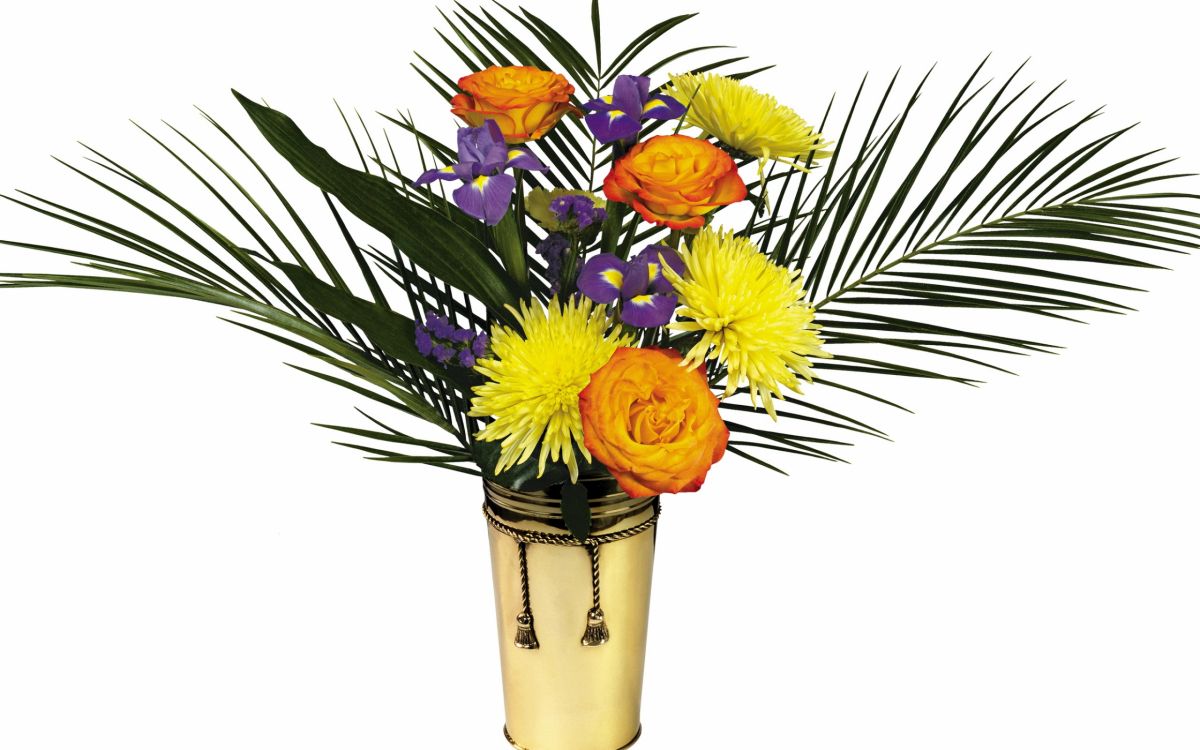 切花, 玫瑰花园, 黄色的, 花艺, 花盆 壁纸 2560x1600 允许