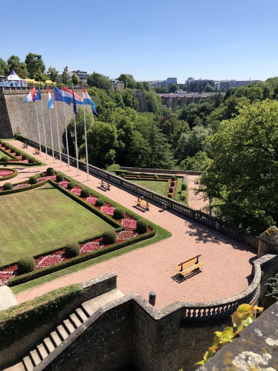 Pont Adolphe, Garden, Drapeau, Arbuste, Champ. Wallpaper in 1536x2048 Resolution