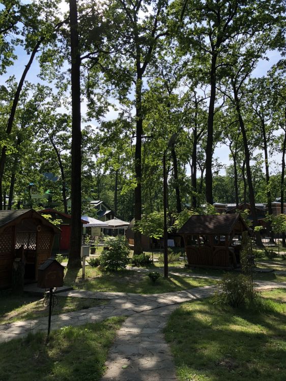 Bosque, el Parque Estatal, Terreno, Jardin, Parque. Wallpaper in 1536x2048 Resolution