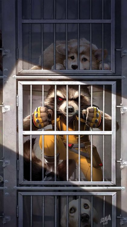 Rocket Raccoon Cloué au Sol, Rocket Raccoon, Guerriers Secrets, Star-Lord, Groot. Wallpaper in 1079x1920 Resolution