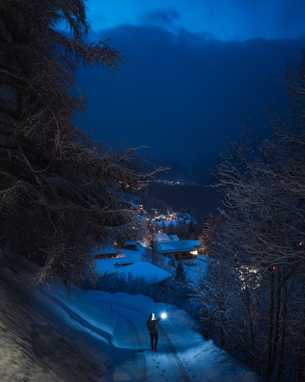 winter, freezing, evening, tree, water