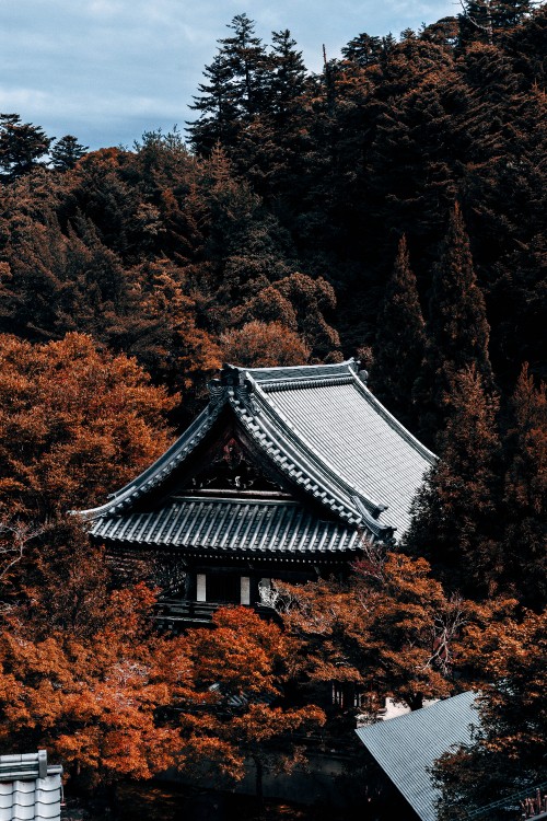 Image white and black pagoda temple surrounded by brown trees