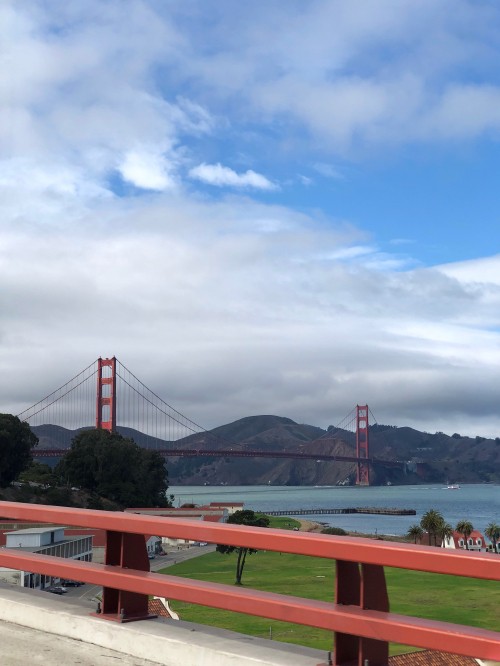 Image cable-stayed bridge, extradosed bridge, suspension bridge, bridge, cloud