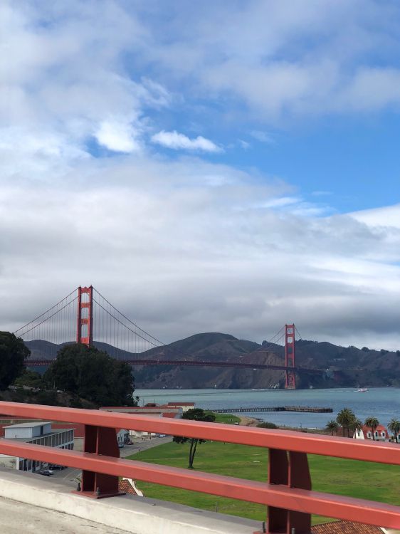 cable-stayed bridge, extradosed bridge, suspension bridge, bridge, cloud