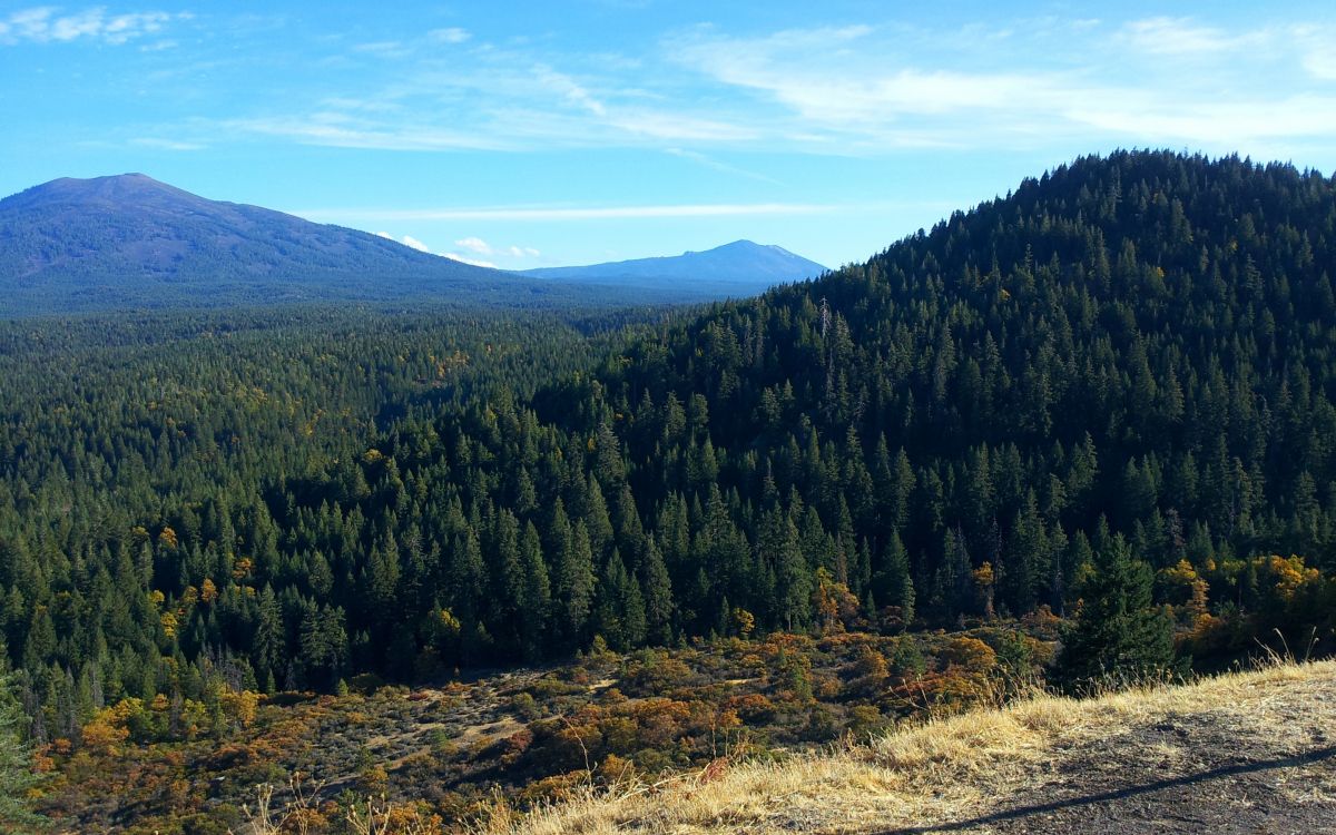 Árboles Verdes en el Campo de Hierba Marrón Bajo un Cielo Azul Durante el Día. Wallpaper in 2880x1800 Resolution