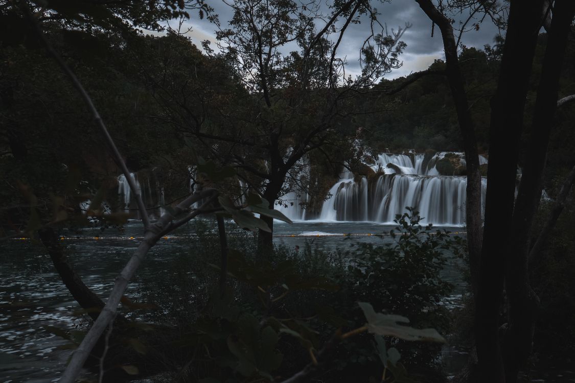 tree, body of water, waterfall, nature, water