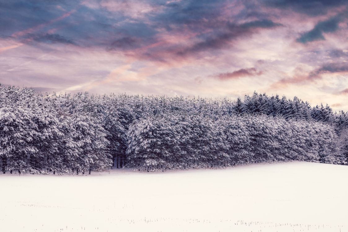 Hiver, Neige, Nature, Paysage Naturel, Environnement Naturel. Wallpaper in 7360x4912 Resolution