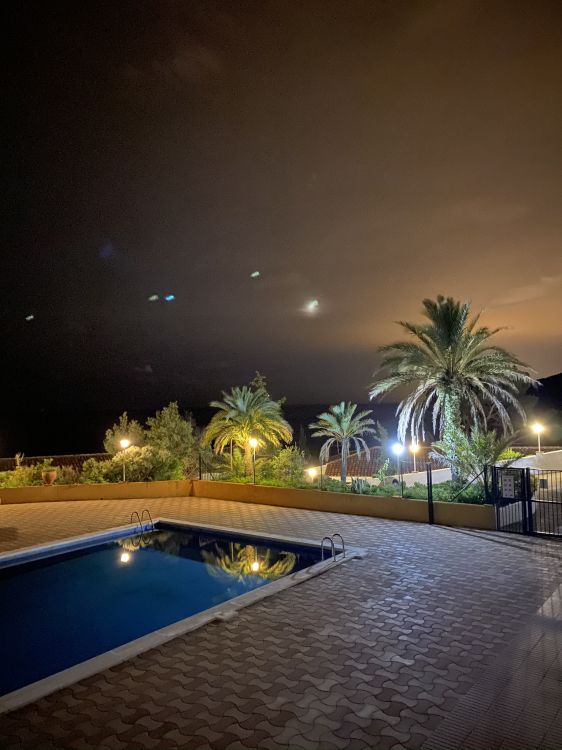 棕榈树, 风景照, 房地产, 度假村, 天文学对象 壁纸 1536x2048 允许