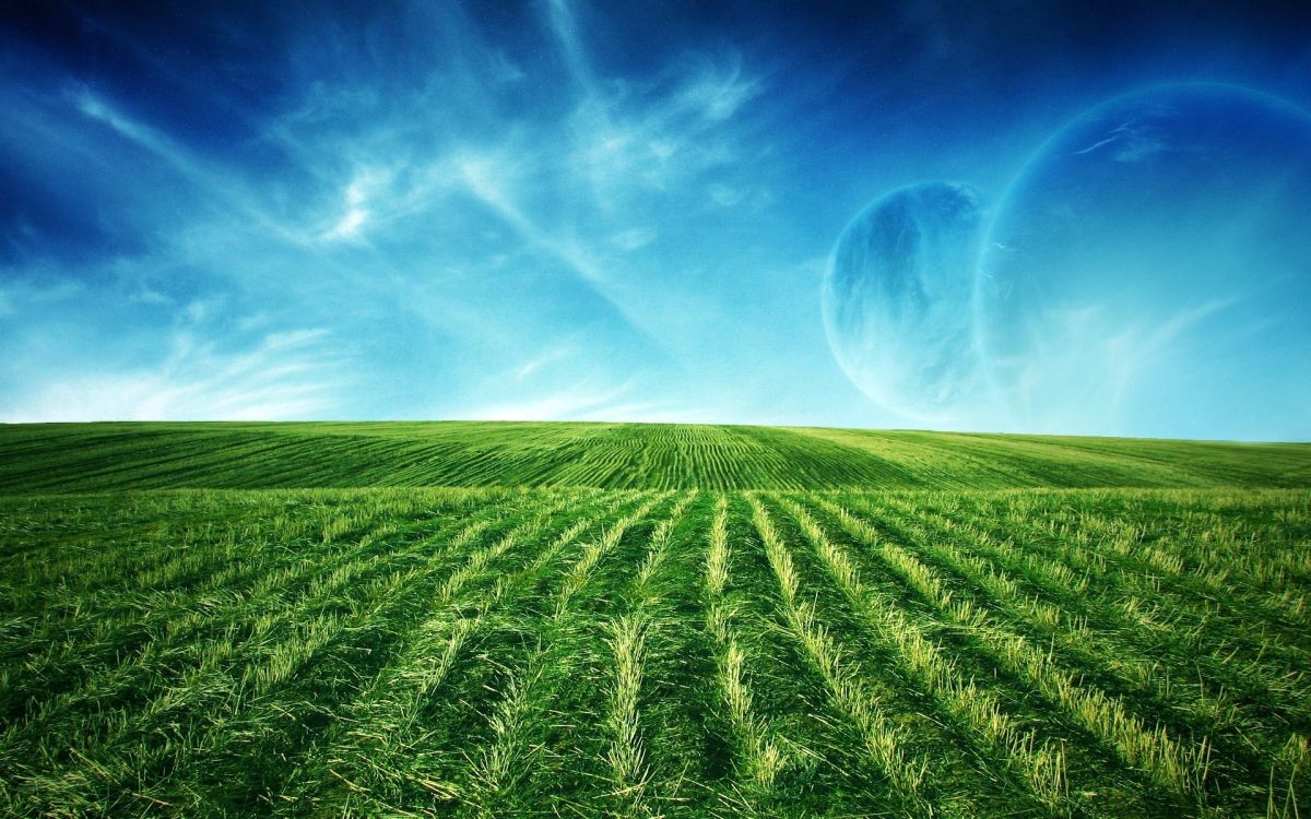 Green Grass Field Under Blue Sky During Daytime. Wallpaper in 1920x1200 Resolution