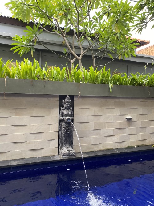 Image water, window, palm trees, Swimming pool, water feature