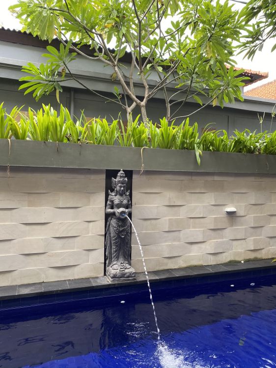 water, window, palm trees, Swimming pool, water feature