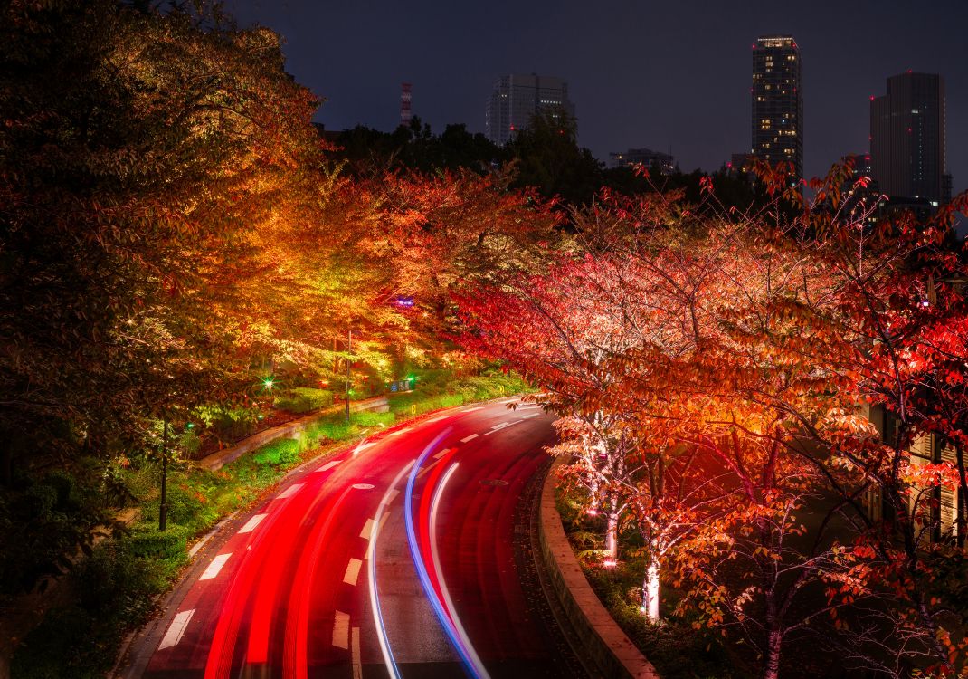 Photographie en Accéléré de Voitures Sur la Route Pendant la Nuit. Wallpaper in 6000x4205 Resolution