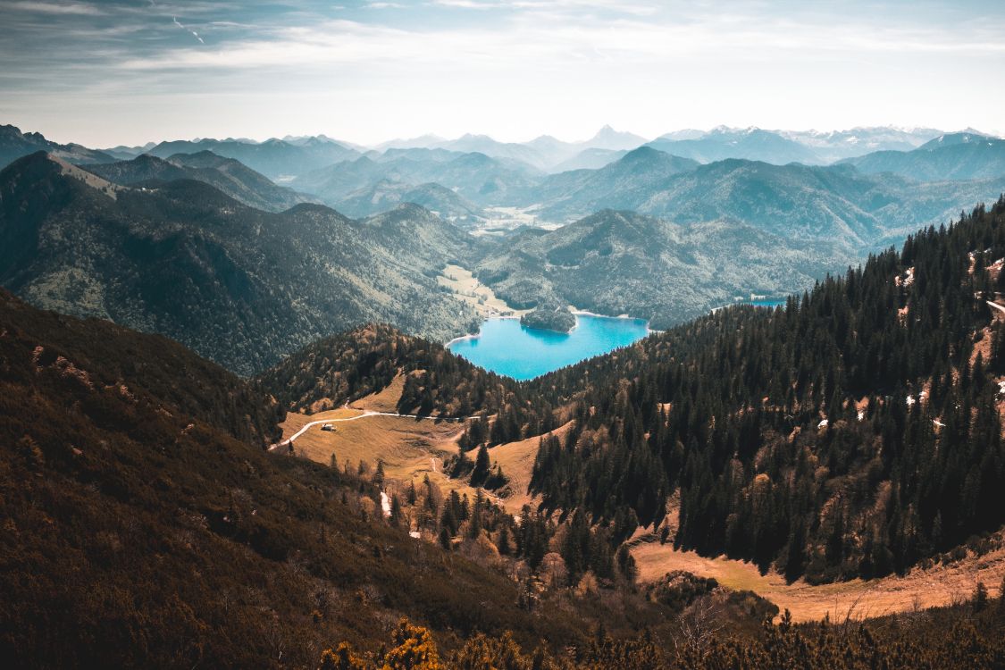 aerial view of mountains and trees during daytime