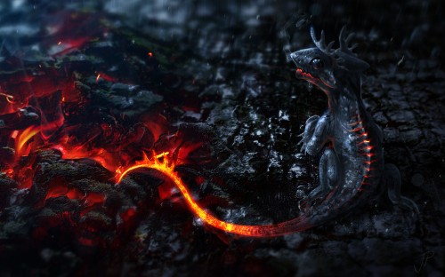 Image baby fire dragon, dragon, ash, water, fire