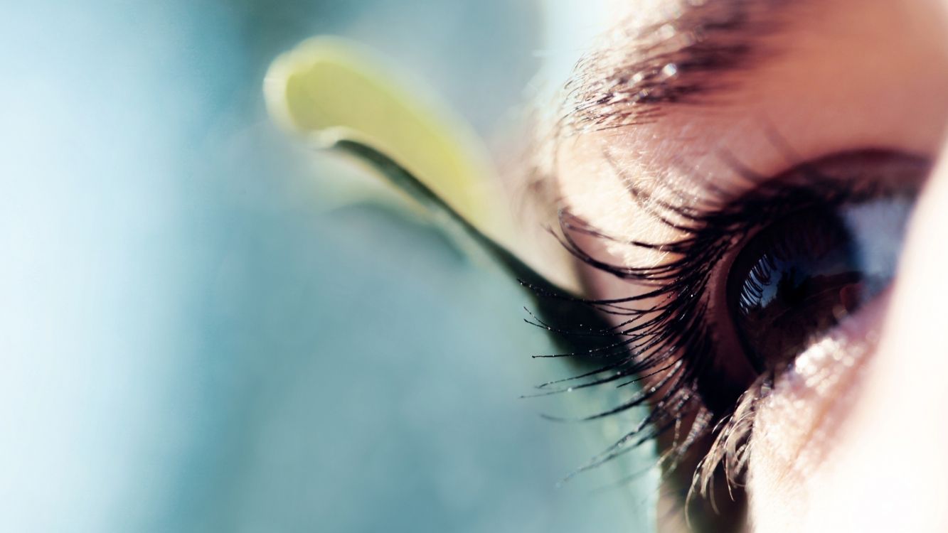 eyebrow, iris, macro photography, pupil