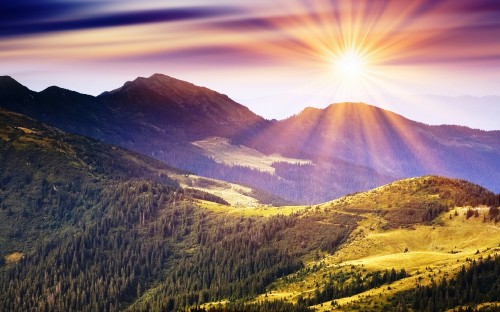 Image green trees on mountain under blue sky during daytime