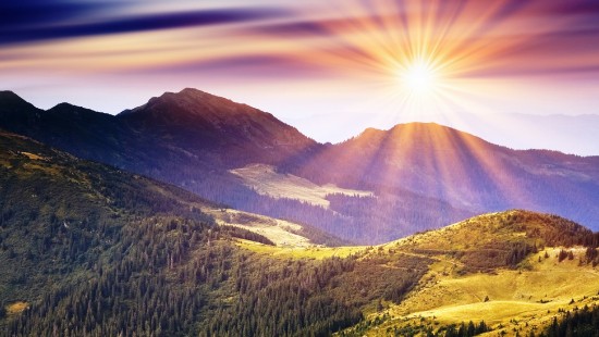 Image green trees on mountain under blue sky during daytime