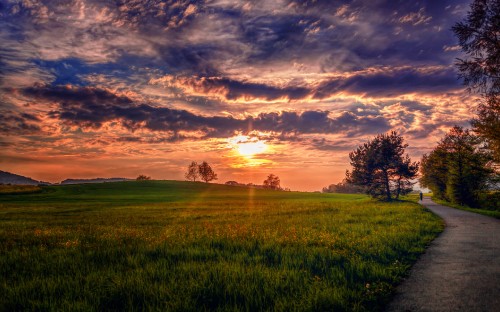 Image green grass field under cloudy sky during sunset