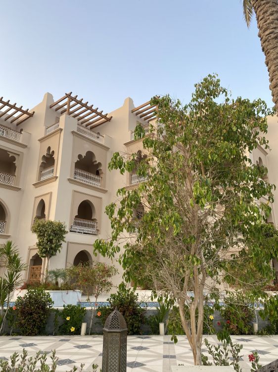 房地产, 酒店, 城市设计, 窗口, 木本植物 壁纸 1536x2048 允许