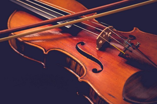 Image violin, cello, viola, string instrument, musical instrument