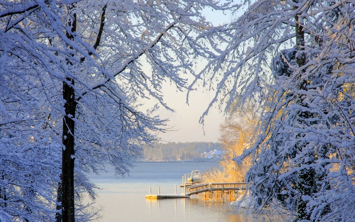 Quai en Bois Brun Sur le Lac Pendant la Journée. Wallpaper in 1920x1200 Resolution