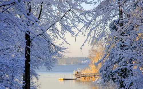 Image brown wooden dock on lake during daytime