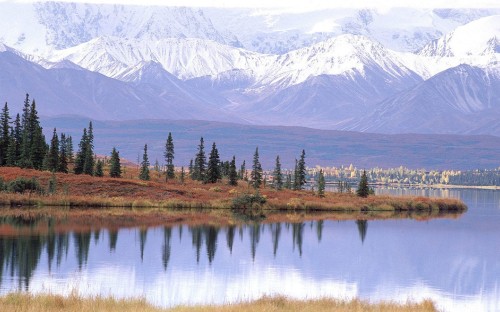 Image green trees near lake and snow covered mountain during daytime