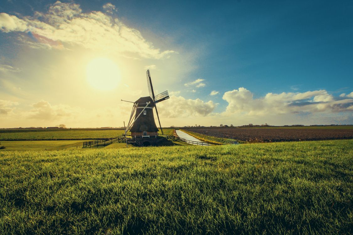 netherlands, windmill, field, grassland, farm