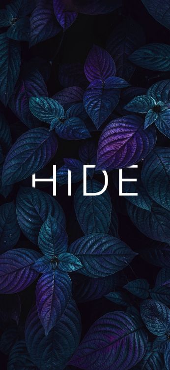 Artes Visuales, Diseño Gráfico, Dibujo, la Botánica, Azure. Wallpaper in 1080x2340 Resolution