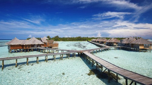 Image brown wooden dock on body of water during daytime