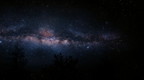 Image silhouette of trees under blue sky with stars during night time