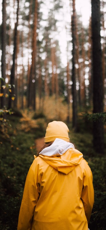 Image person in yellow hoodie standing in forest during daytime